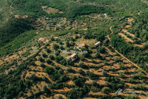 Landejendom i Les Useras, Castellon, Les Useras - € 140.000 | Ref: 794 - foto 7